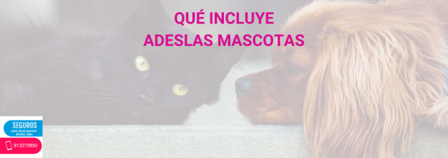 Adeslas Mascotas